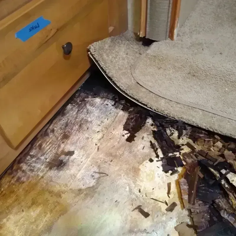 Wood Floor Water Damage in Seven Hills, OH